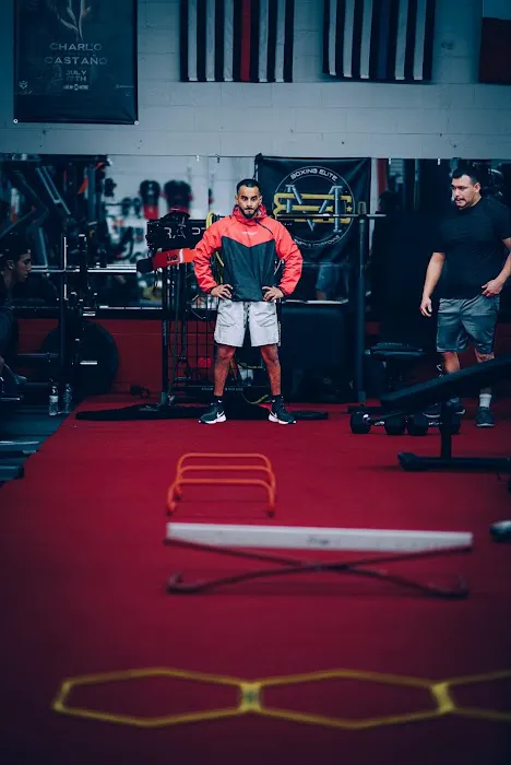 Knockouts Boxing Picture 3