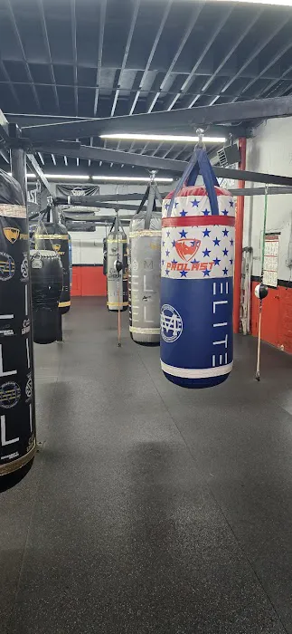 Knockouts Boxing Picture 10