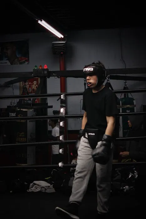 Knockouts Boxing Picture 9