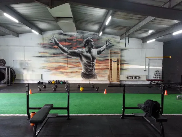 Abel's EzPz Iron Gym Picture 2