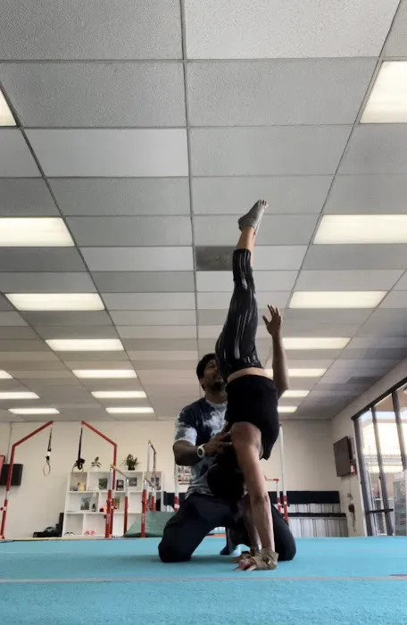 Zeal Kids Gymnastics Picture 6