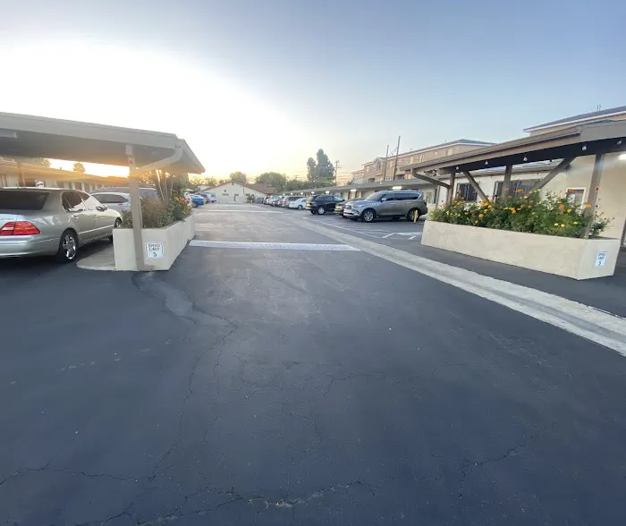 Zeal Kids Gymnastics Picture 4