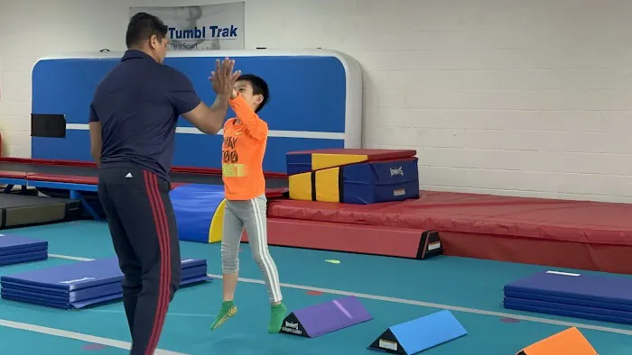 Zeal Kids Gymnastics Picture 1