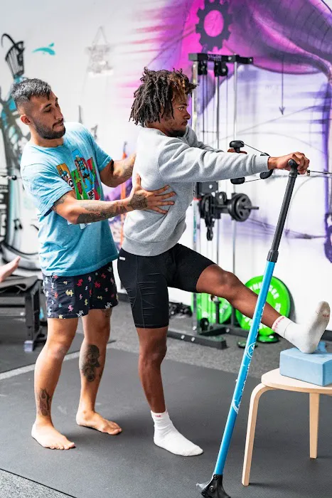 My Biomechanics Picture 1