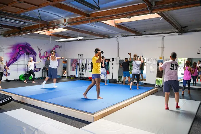 My Biomechanics Picture 3