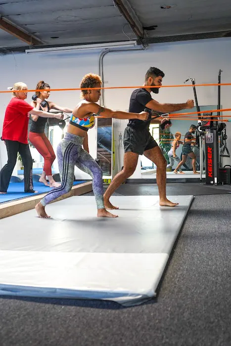 My Biomechanics Picture 4