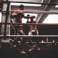 Tribe Muay Thai ico