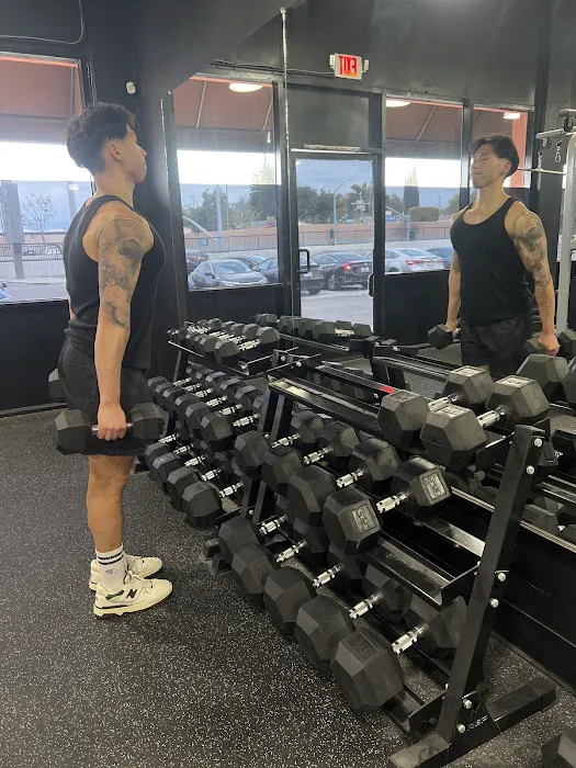 Omni Strength Picture 8