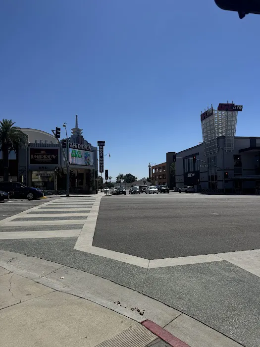 UFC GYM Brea Picture 9
