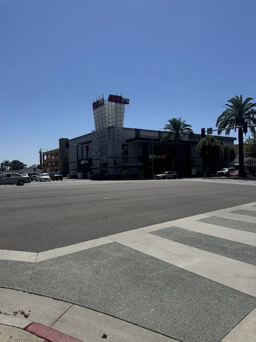 UFC GYM Brea Picture 8