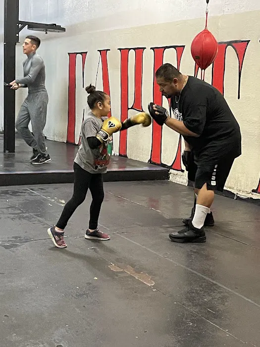 CAPETILLO BOXING ACADEMY Picture 3
