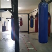 CAPETILLO BOXING ACADEMY ico