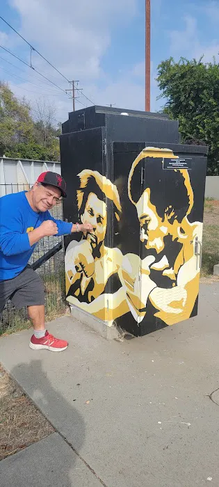 CAPETILLO BOXING ACADEMY Picture 5