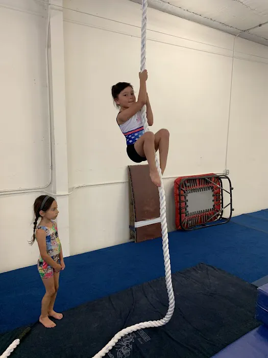 Next Level Gymnastics Picture 1