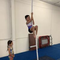 Next Level Gymnastics ico
