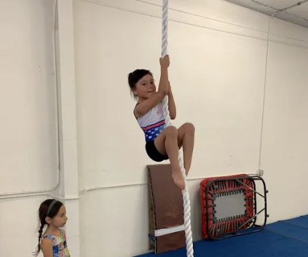Next Level Gymnastics