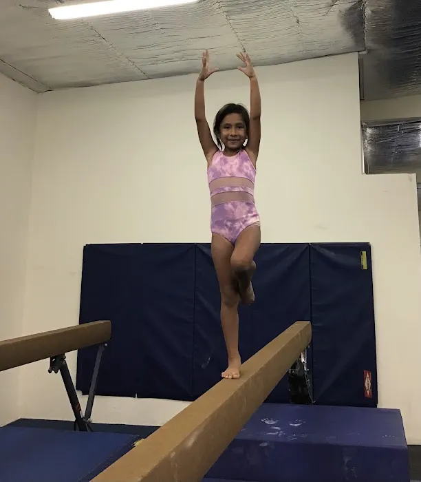 Next Level Gymnastics Picture 8