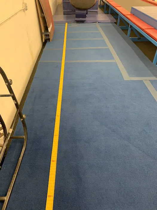 Next Level Gymnastics Picture 10