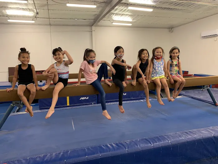 Next Level Gymnastics Picture 3