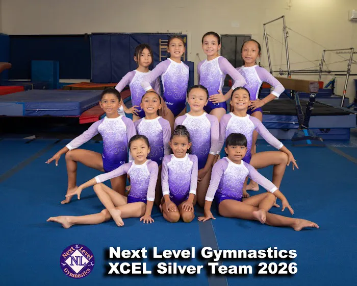 Next Level Gymnastics Picture 9