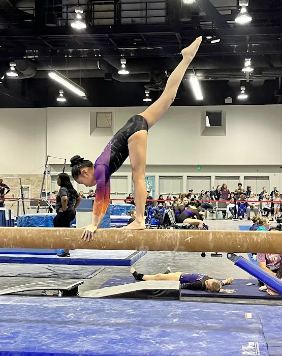 Next Level Gymnastics Picture 4