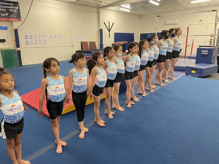 Next Level Gymnastics Picture 7