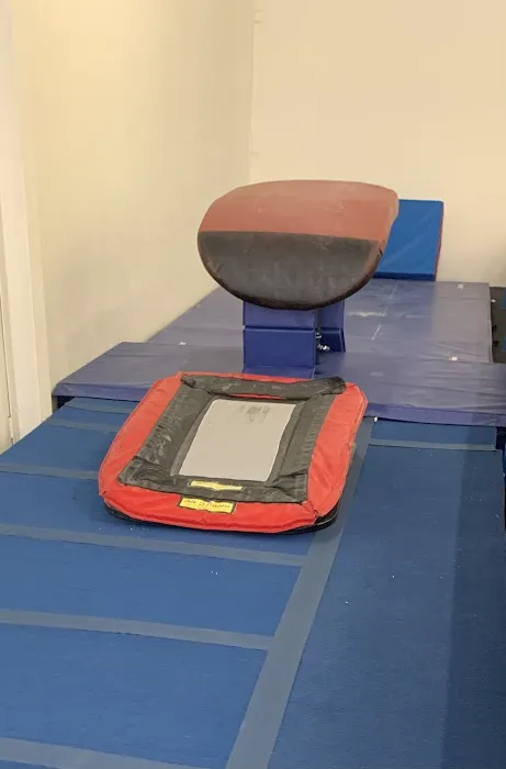 Next Level Gymnastics Picture 6