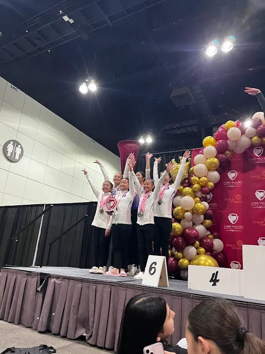 Next Level Gymnastics Picture 2