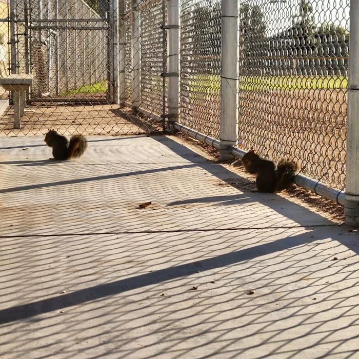 Garvey Park Gym Picture 4