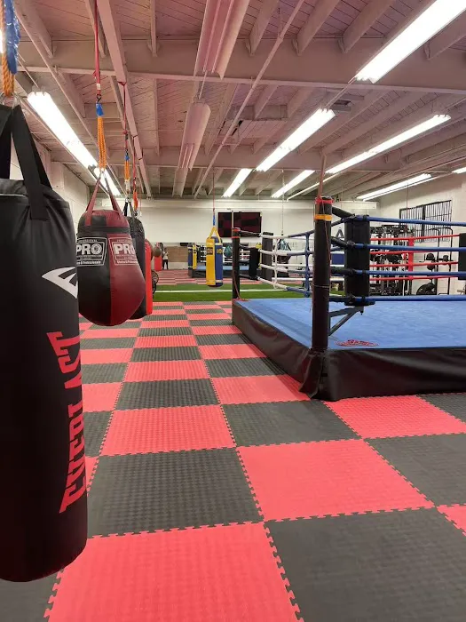 ONYX BOXING FITNESS GYM Picture 5