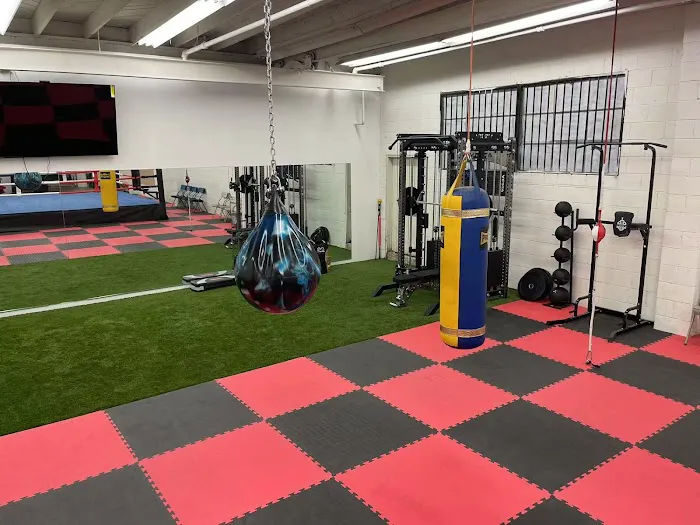 ONYX BOXING FITNESS GYM Picture 4