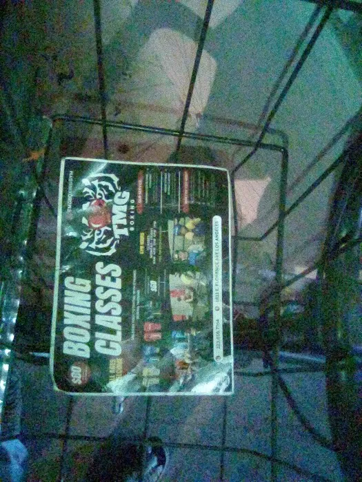 TMG 🐅🐯Boxing gym Picture 9