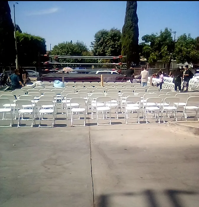 TMG 🐅🐯Boxing gym Picture 8