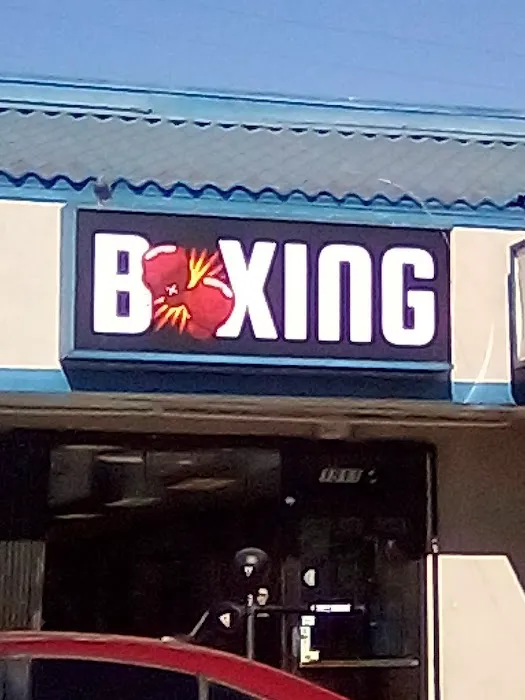 TMG 🐅🐯Boxing gym Picture 6