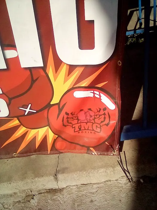 TMG 🐅🐯Boxing gym Picture 2