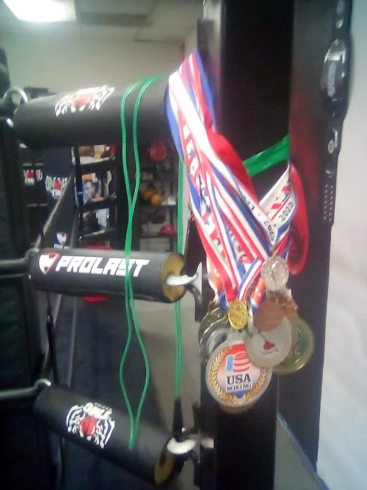 TMG 🐅🐯Boxing gym Picture 4