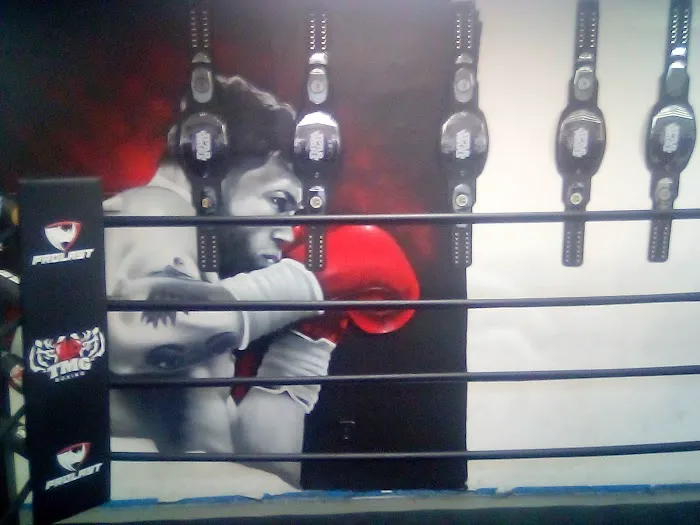 TMG 🐅🐯Boxing gym Picture 5
