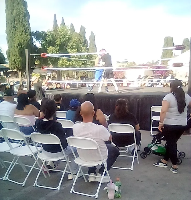 TMG 🐅🐯Boxing gym Picture 7