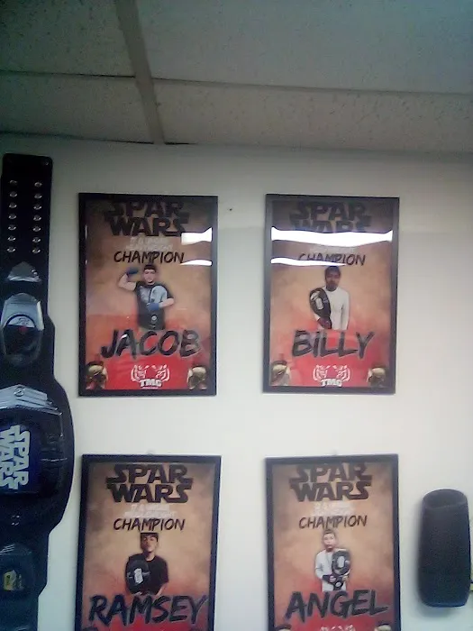 TMG 🐅🐯Boxing gym Picture 10