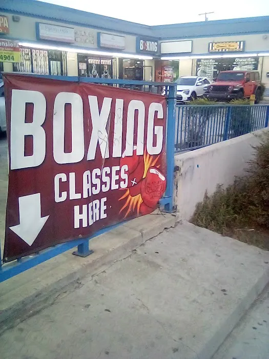 TMG 🐅🐯Boxing gym Picture 3