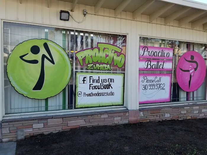 Proactivo Dance Studio Picture 8