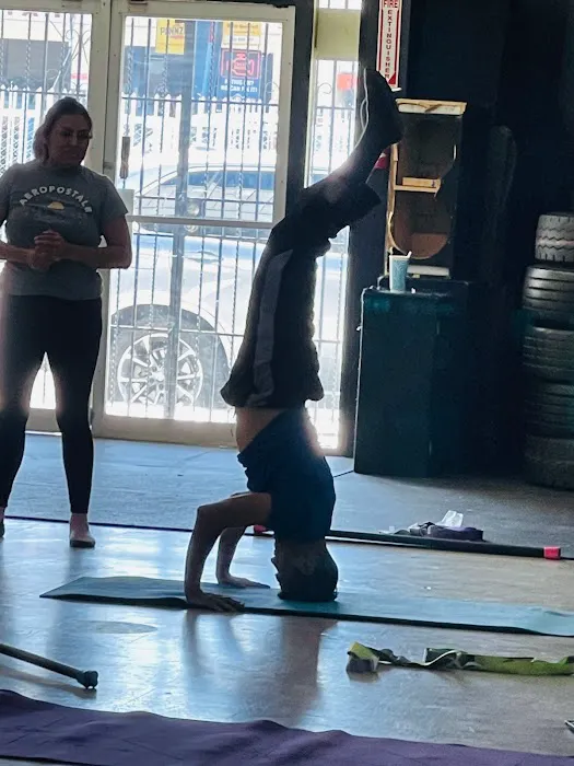 IMPACT FITNESS AND NUTRITION Picture 7