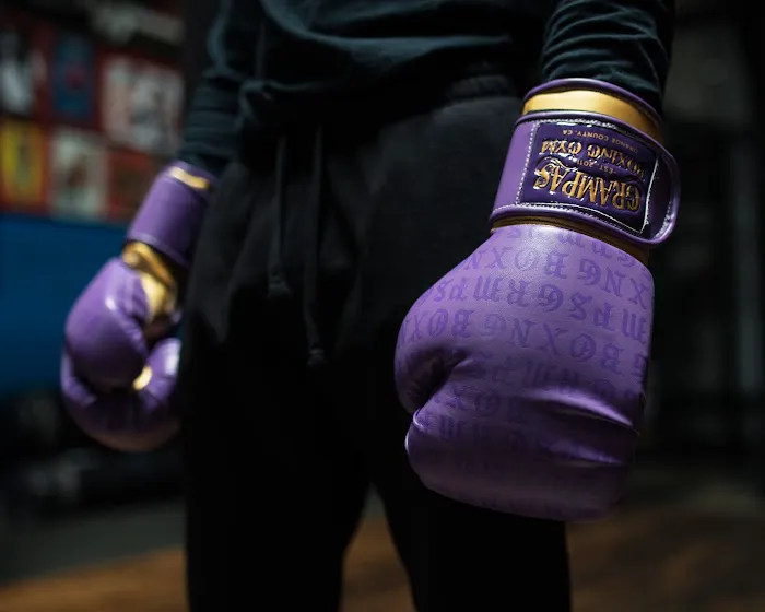 Grampas Boxing Gym Picture 6