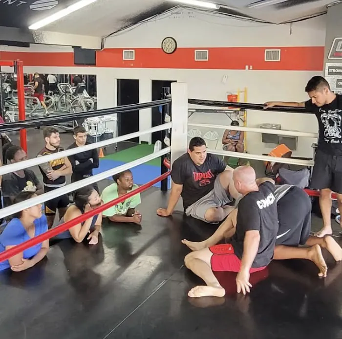 HardWorx Fitness Traffic Circle Picture 4