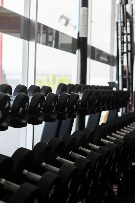 HardWorx Fitness Traffic Circle Picture 8