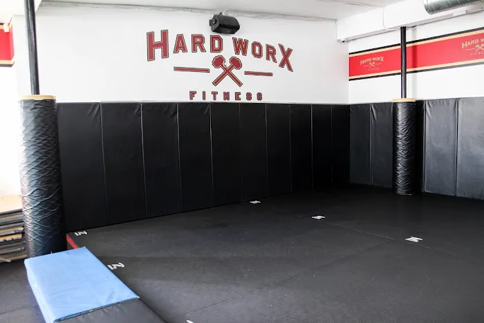 HardWorx Fitness Traffic Circle Picture 9