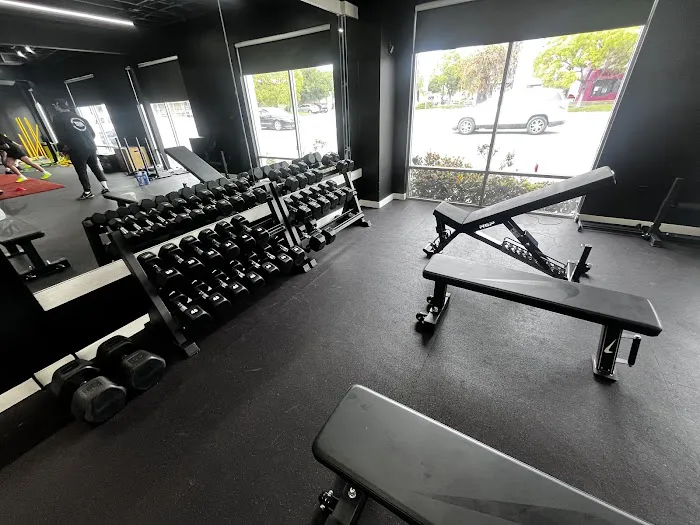 ELITE Sports Performance Picture 8