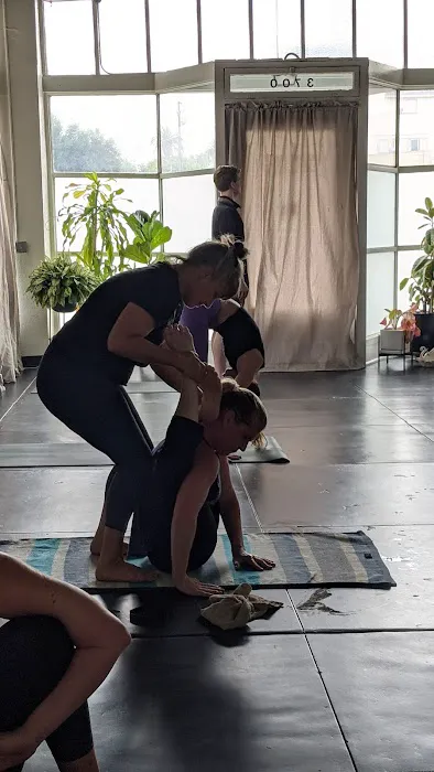 Community Yoga Club / Ashtanga Yoga Long Beach Picture 5