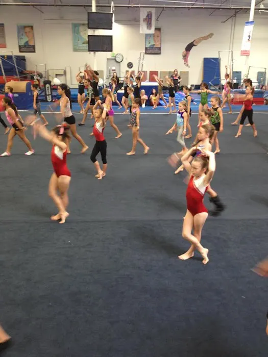 American Gymnastics Academy Picture 5