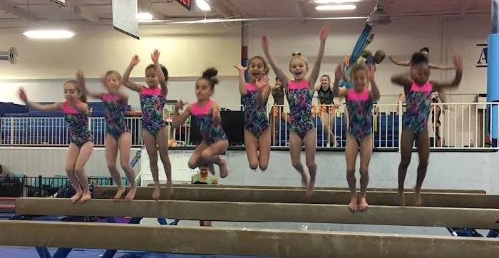 American Gymnastics Academy Picture 2